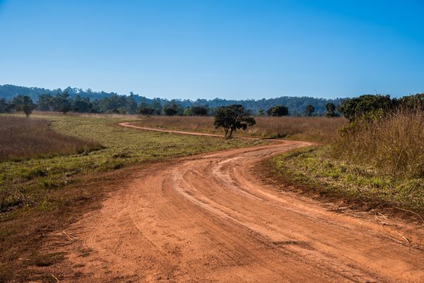 Cost of Dirt Driveway Repair in Reno