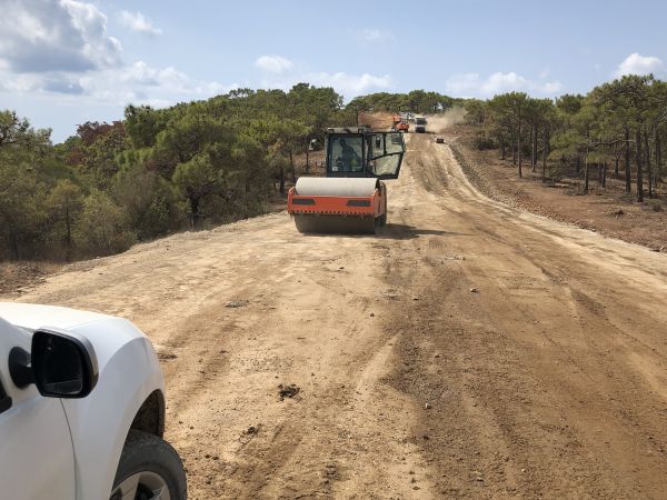 Cost of Driveway Grading in Reno