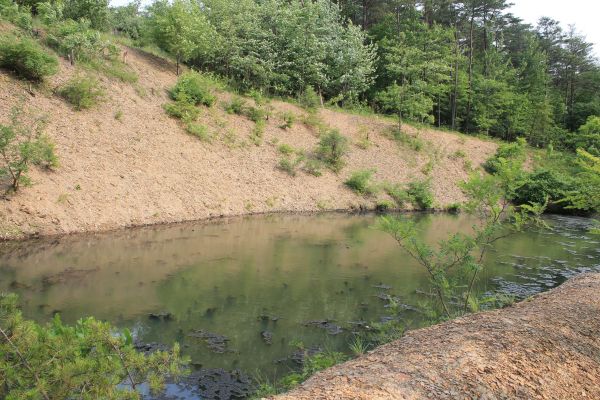Cost of Pond Erosion Repair in Reno